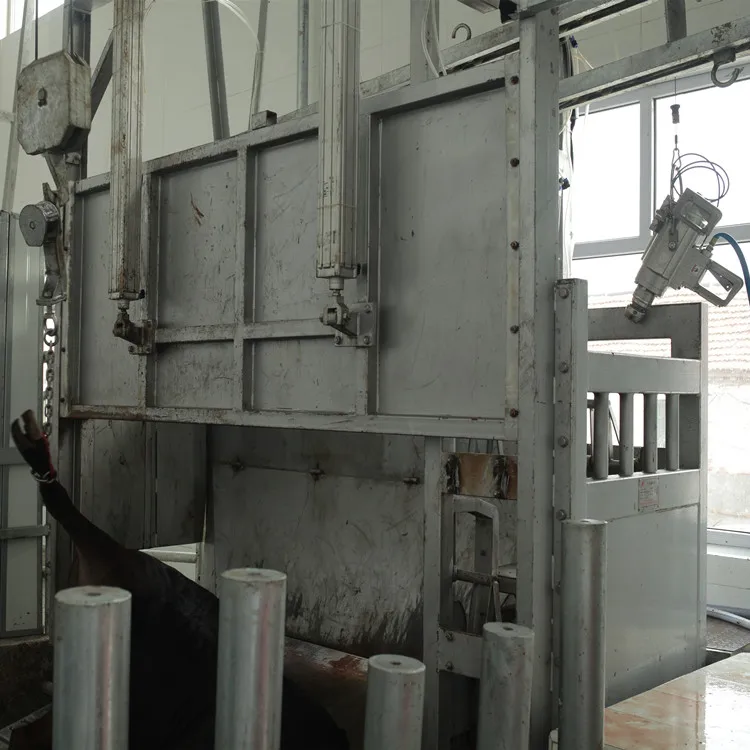 Cattle pneumatic shock gun striker for cattle slaughtering equipment