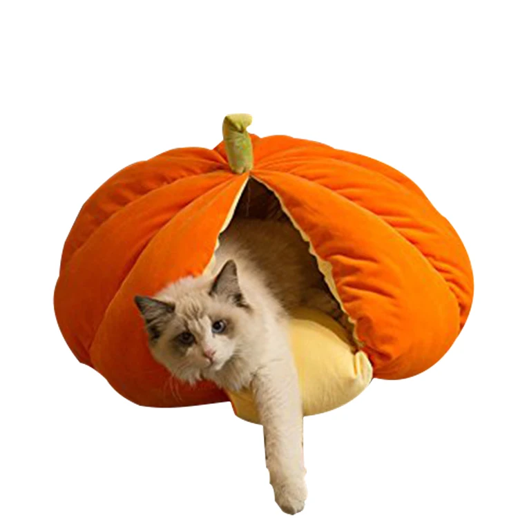 pumpkin cat bed