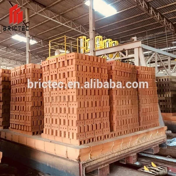 BRICTEC Customized Clay Brick Making Tunnel Kiln