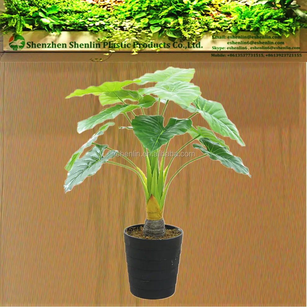 Indoor Dripping Guanyin Alocasia Artificial Plants Water Lotus Arum House Artificial Plant Buy Artificial Arum Plants Artificial Plant Indoor House Plants Product On Alibaba Com