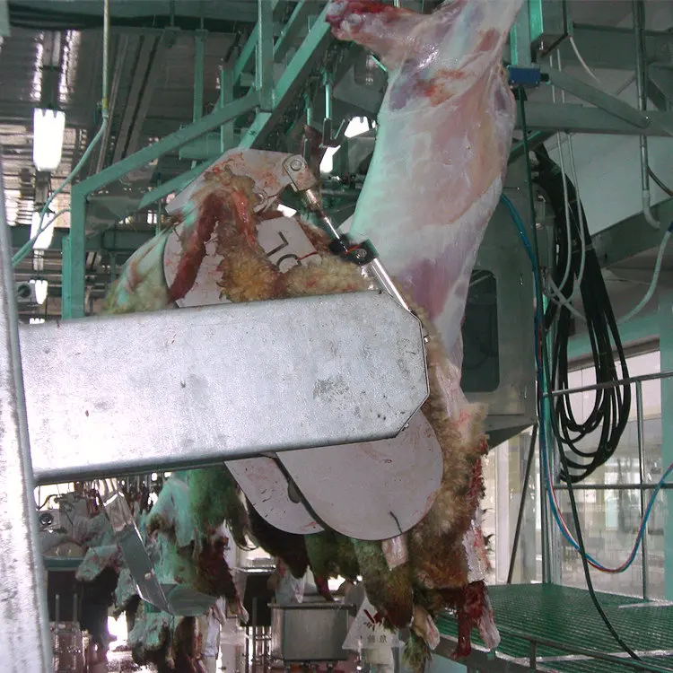 Sheep skin peeling machine sheep slaughterhouse
