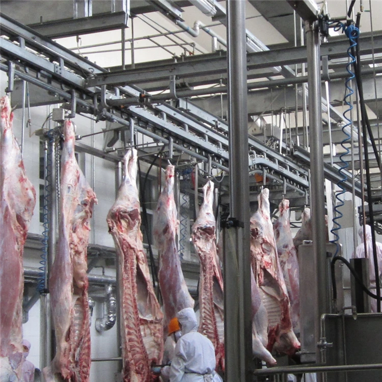 Halal meat slaughtering process camel with high quality slaughterhouse machine