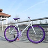 Viola