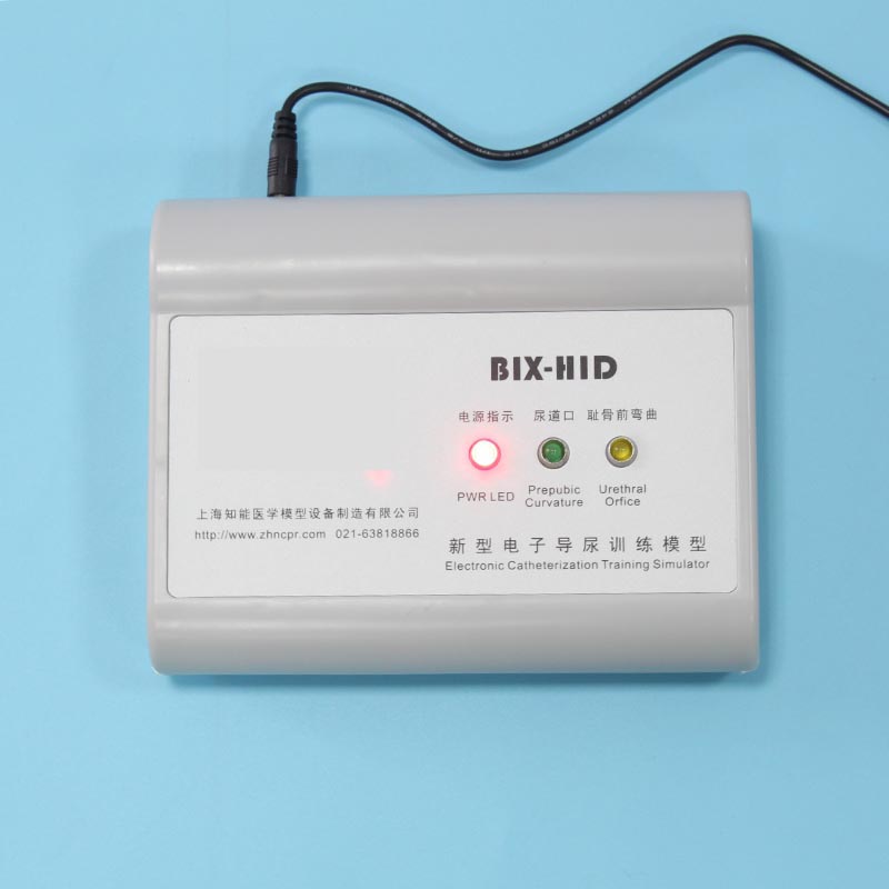 
BIX-H1D медицинская электронная уретральная Катетеризация и модель клизмы 