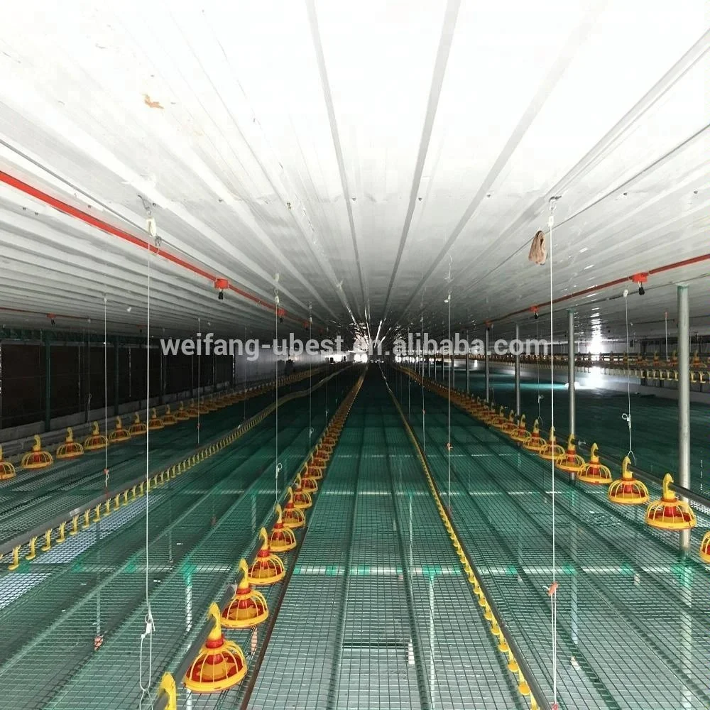 Chicken Farming Poultry Control Shed Automatic Layer Battery Cage Equipment for Egg Laying Hens