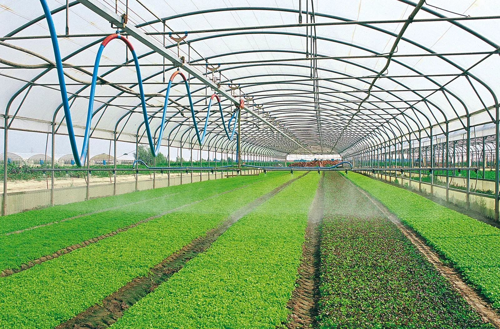 Greenhouse Mobile Sprinkling Irrigation System