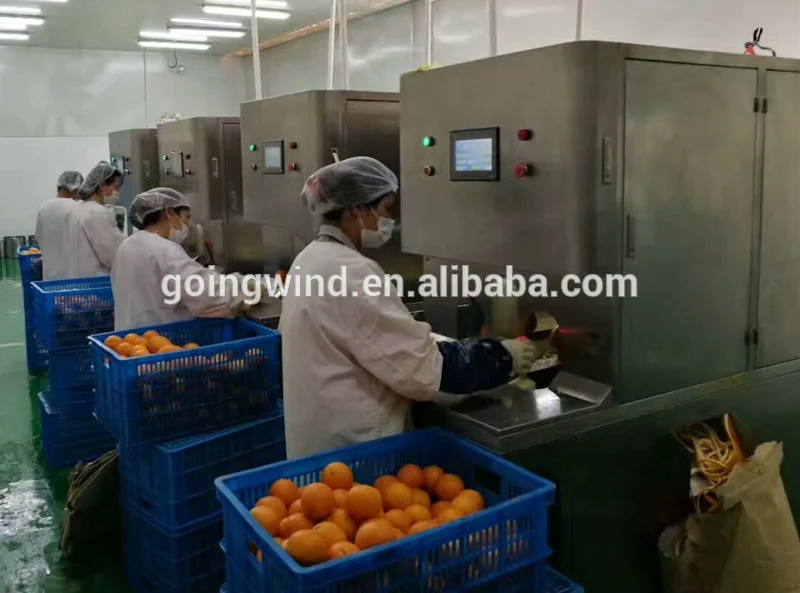 定番最安値】 Automatic Commercial Avocado Peeling Machine Full