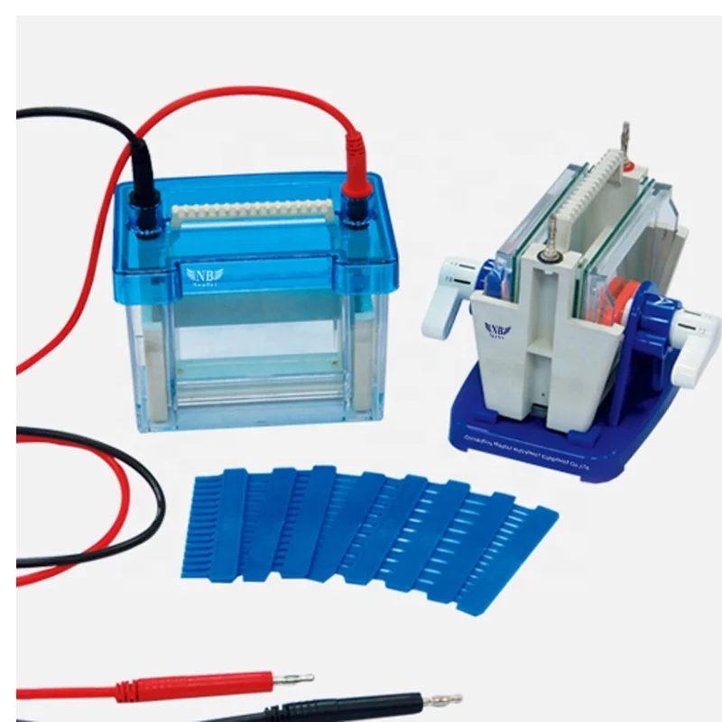 DNA Analysis Protein Electrophoresis Gel System with Factory Price