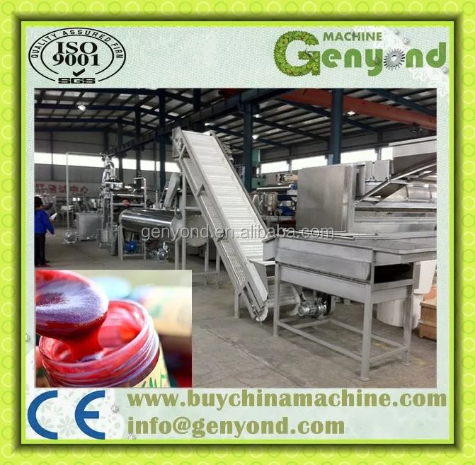 Factory Genyond Complete Prickly Pear Fruit Juice Paste Production Line / Prickly Pear Jam Processing Plant Making Machine