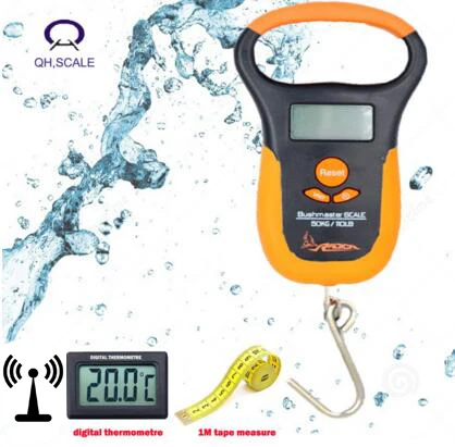 fish measuring scales