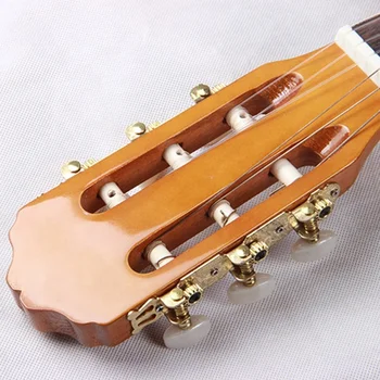 アコースティックギター 6弦 スプルース スプルース − アコースティックギターの定番トップ材 | ギタコン