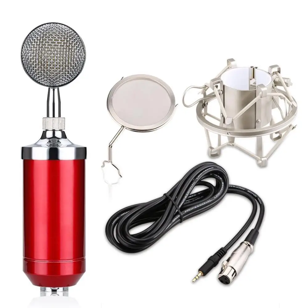 BM 8000 kondenser mikrofon taşınabilir kablolu stüdyo mini Mic şok