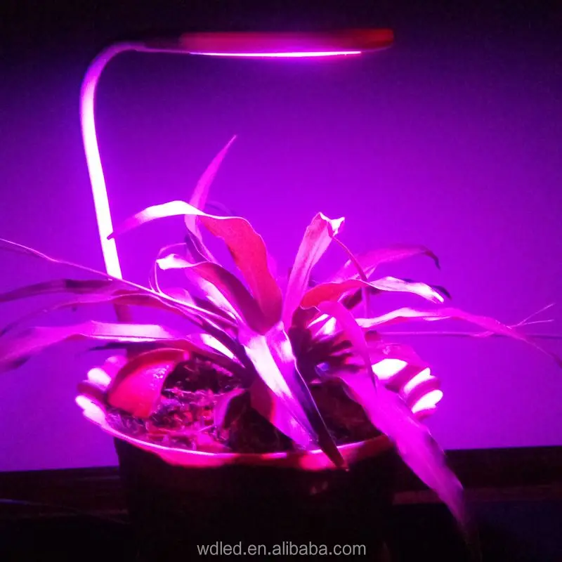 2016 new product decorative plant indoor grow lights &reviews on led grow lights
