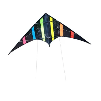 high as a kite picture