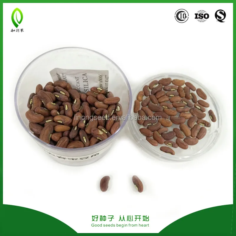活発な成長中国の長いササゲの種子 長い豆の種子卸売 Buy 中国野菜の種 長いササゲ種子 白豆種子 Product On Alibaba Com