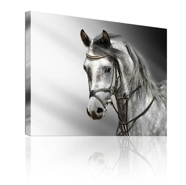 壁掛け写真素晴らしい有名な馬の絵 Buy 有名な馬の絵 壁 馬キャンバス絵画 Product On Alibaba Com