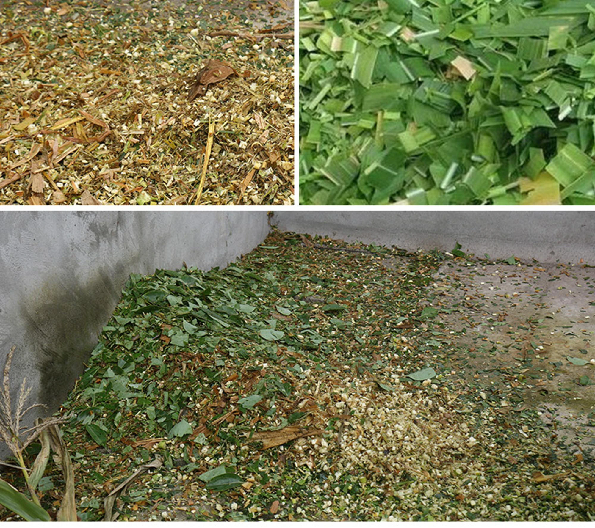 DAWN AGRO Automatic Grass Cutting Chaff Cutter Machine Feed Animal Corn Chopper Machinery Silage Shredder