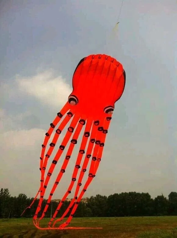 CIM Cerf-Volant monofil - Delta Rudi M Black - pour Enfants à partir de 6 Ans