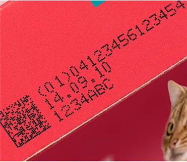 Tij GS1 Code Printer DM Data matrix Code Printer Batch Expiry Date Inkjet Printer for Bottle and Cartons
