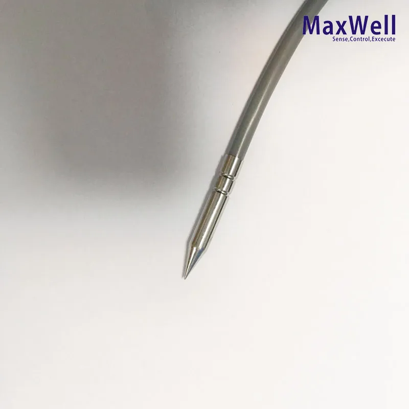 Industrial Stainless Steel Pt100 Needle Temperature Sensor Glass Material OEM & ODM Supported for Food Processing & BBQ