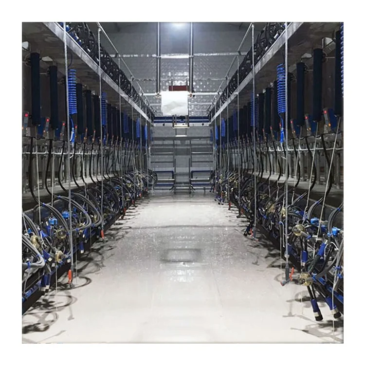 Big Farm Parallel Digital Meter Modern Cow Automatic Milking Parlor Machine Equipment