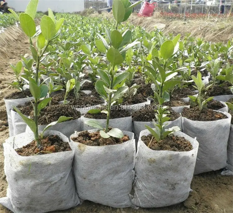 白色塑料植物袋用于种植和种植pp 植物袋 Buy 植物袋 塑料植物袋 植物生长袋product On Alibaba Com