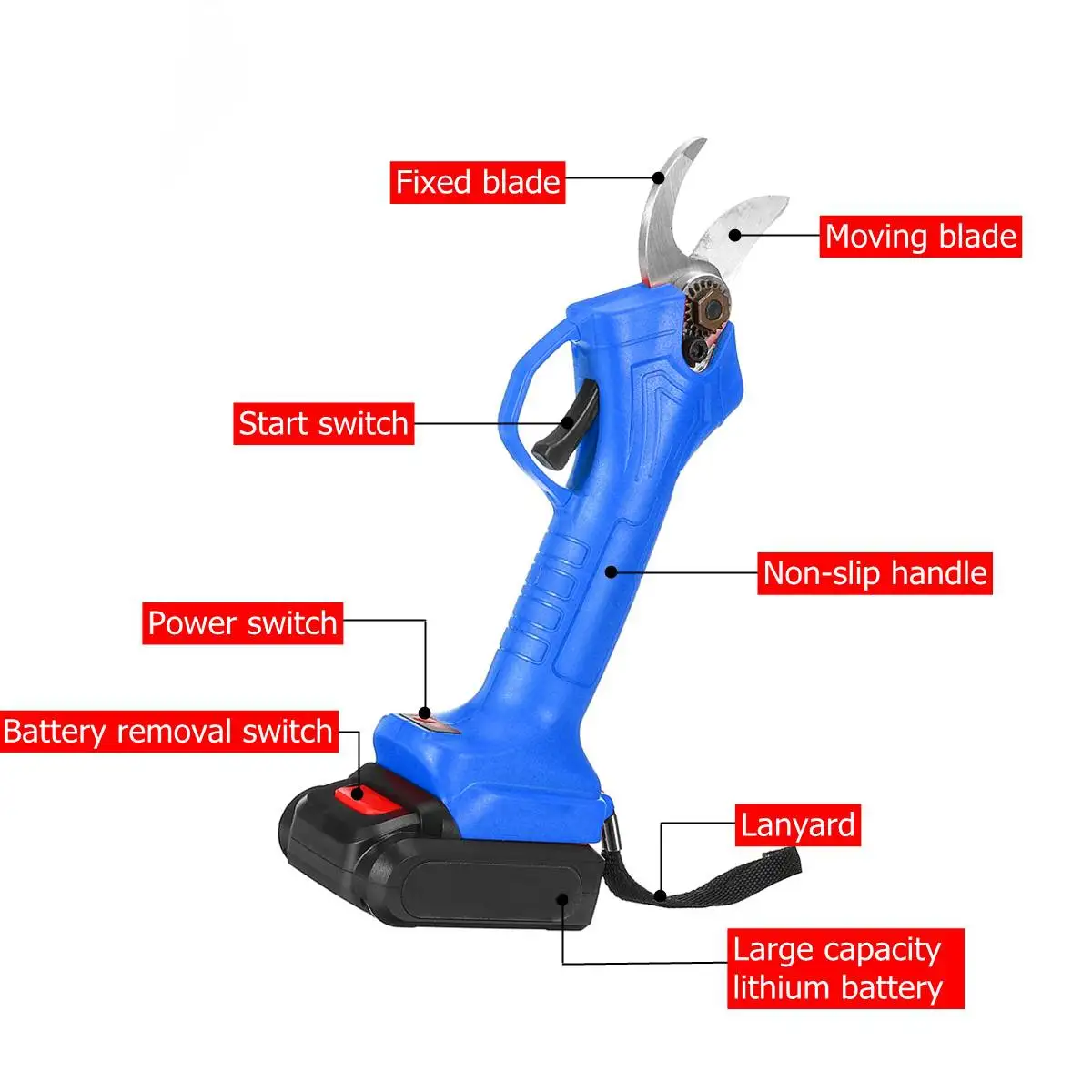 photobank (13).jpg