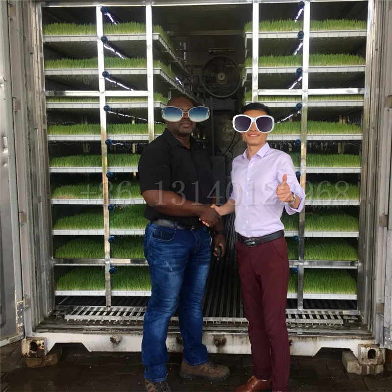 Lyine OEM Fodder Container Hydroponic Farming Daily 1000kg Barley Growing Rooms Hydroponics Sprouting Systems Solar Power