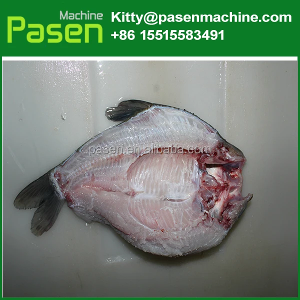 Carp Trout Fish Scaling Cleaning Machine Sardine Fish Gutting Killing Machine