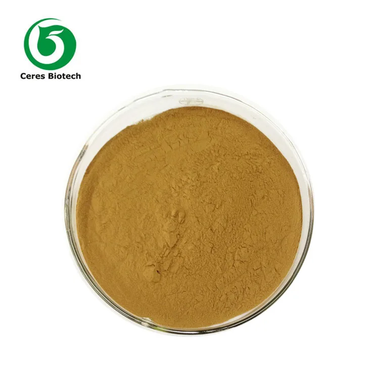 Hot Sale  Lions Mane Mushroom Extract Powder