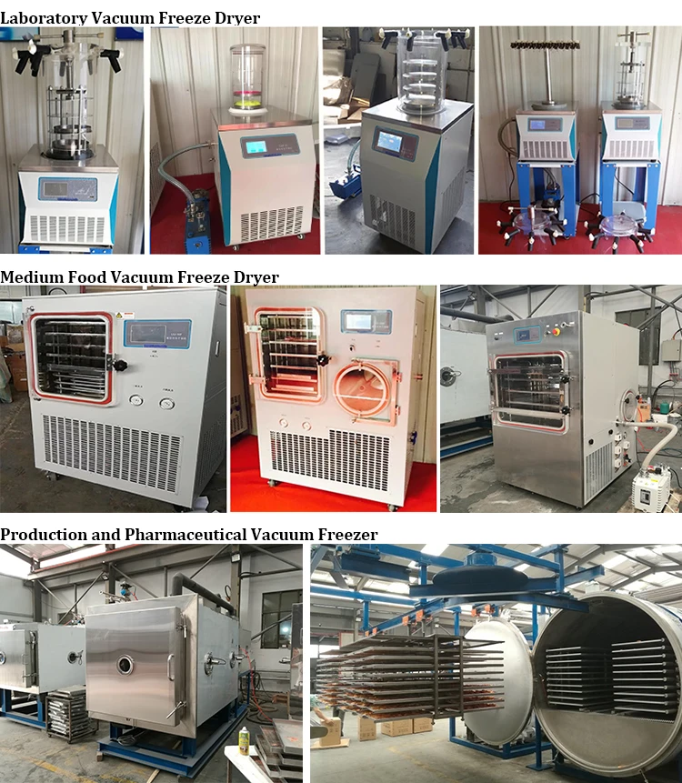 Sublimation Condensation Medium Dryer Vacuum Lyophilizer Price Freeze