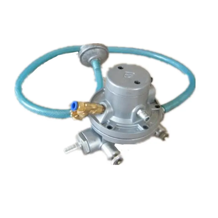 Single Way Diahragm Ink Pump for Flexo Printing Machine