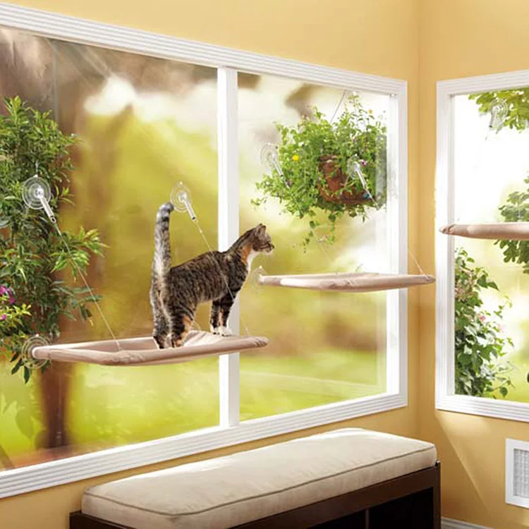 cat window bed