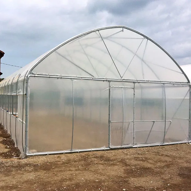 Single Span Tunnel Greenhouse for Tomato and Vegetable