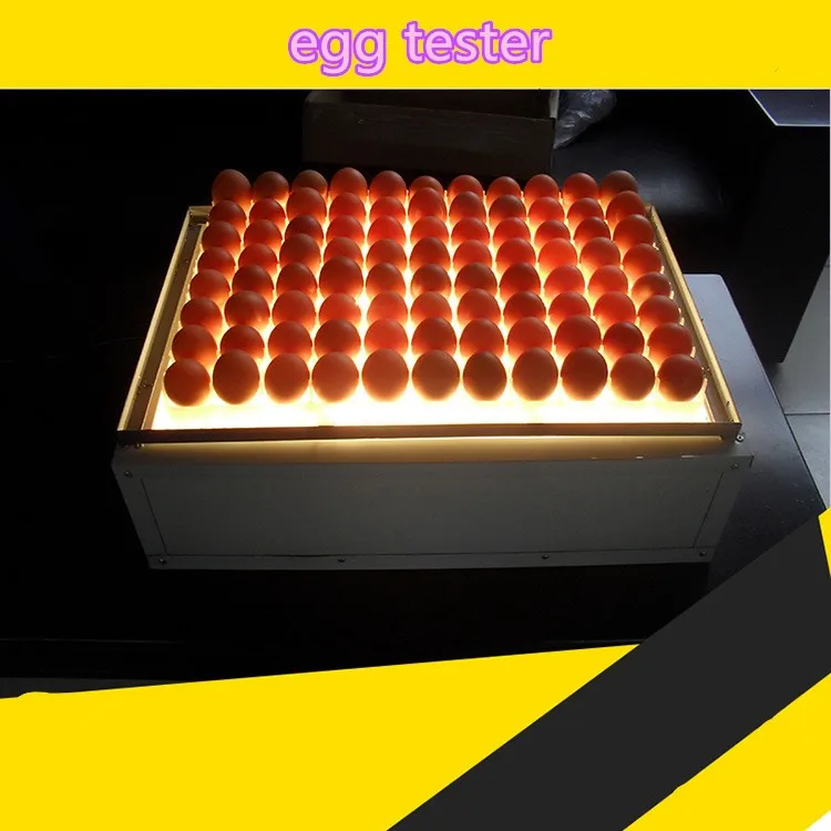 AC 220v fertile egg tester for incubator large egg capacity chicken egg tester