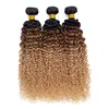 Ombre 1b/33/27 ricci