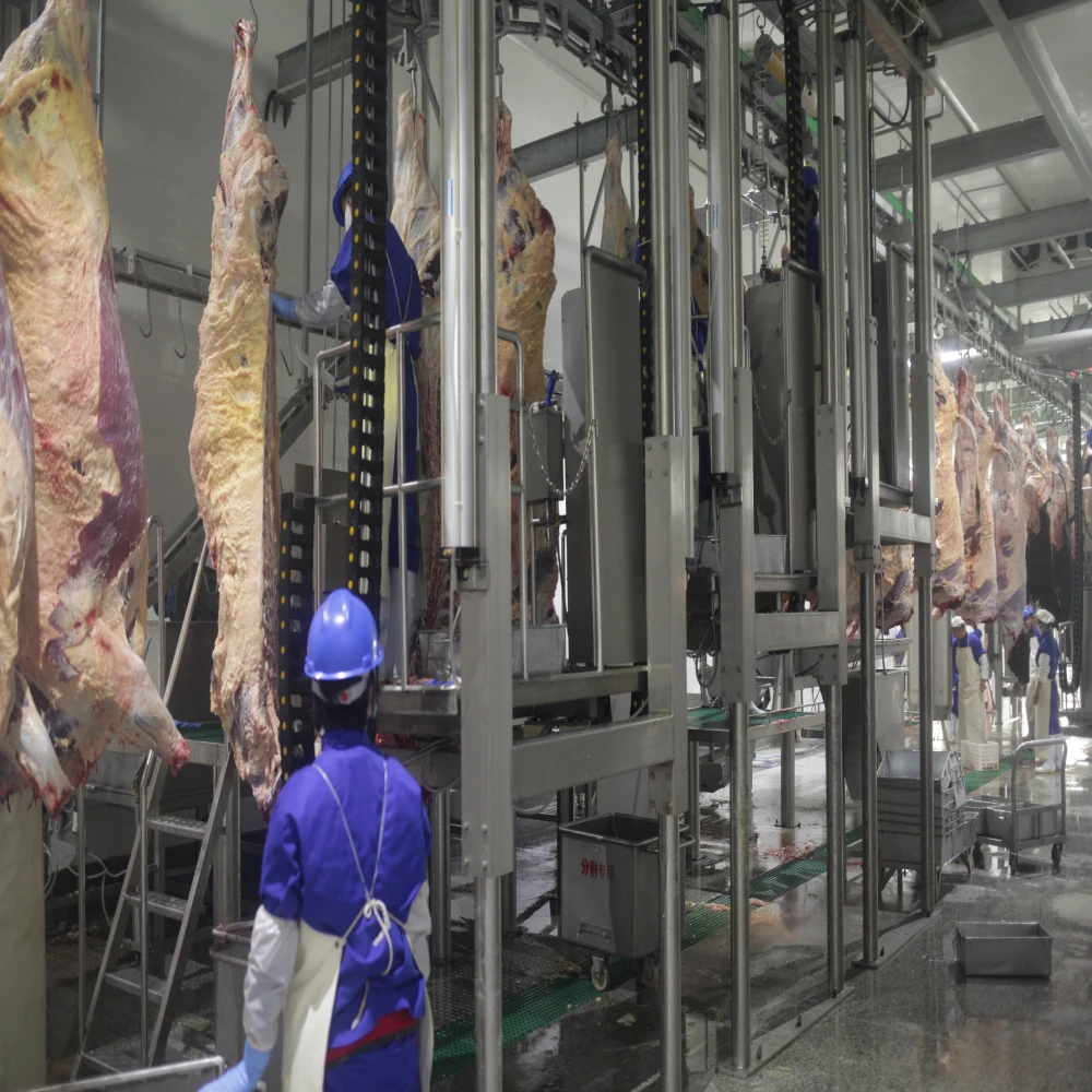 Livestock halal slaughtering machine for Islamic meat processing plants