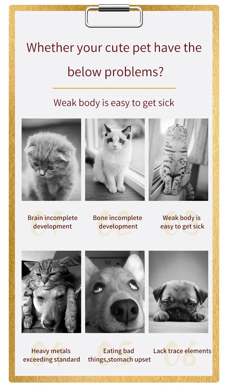 Hopital Pour Animaux De Compagnie Chien Chat Cheval De Diagnostic De Sante Analyseur Magnetique A Resonance Quantique Buy Derniere Resonance Magnetique Quantique Analyseur De Corps Quantum Resonance Magnetique Bioresonance Quantique Product On