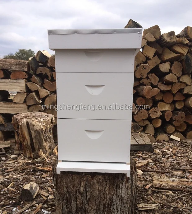Langstroth Wood Beehive Manufacturers Factory
