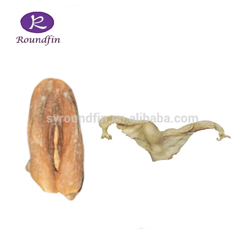 レジンシリコンゴム女性の体の臓器女性の外陰部女性の内陰部の臓器移植モデル Buy 女性の外陰部女性内部生殖器 Plastinatedモデル 女性の身体器官 Product On Alibaba Com