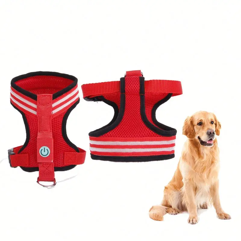 luminous dog harness