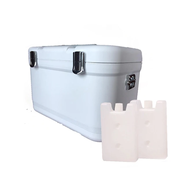 Container Ice Box To Carry Medicines Medicine Mini Cooling Box 6L