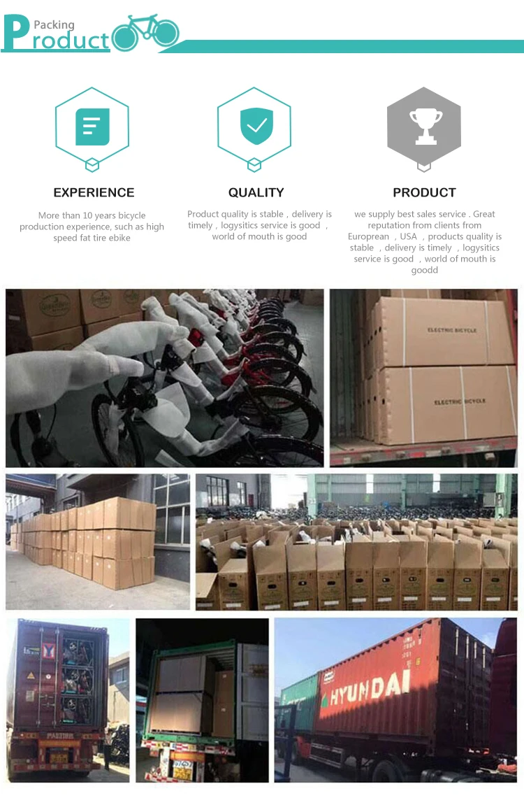 Bafang Mid Drive Internal Gear Hub Bicycle/fat Tire Electric Snow Bike