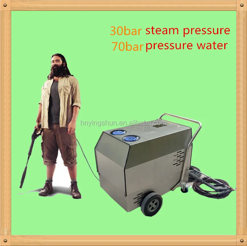 best steamer for auto detailing