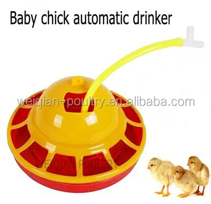 Автоматическая поилка для цыплят автоматическая птицы