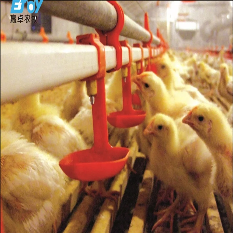 Outstanding Quality Full Set of Automatic Broiler Poultry Farming House Design Chicken Shed Equipment