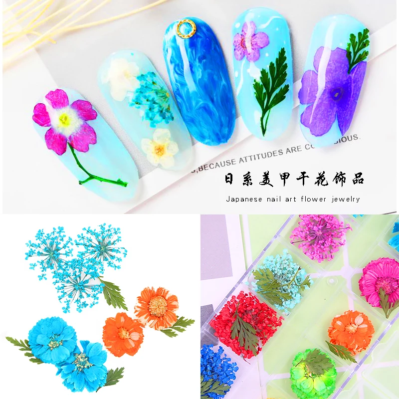 Natural Plant Dry Flower Nail Small Adorn Article 12 Color Boxe Of Dried Flowers Wholesale Nails Decorations Buy Natural Plant Dry Flower Dried Flowers Wholesale Nails Decorations Product On Alibaba Com