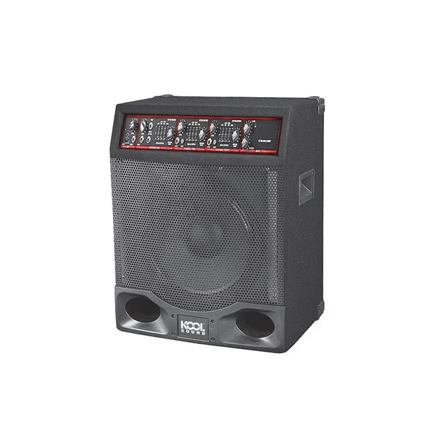 Bass combo speaker Clearance