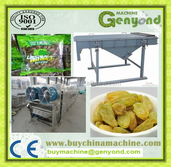Industrial Raisin Cleaning and Sorting Line / Raisin Processing Machine