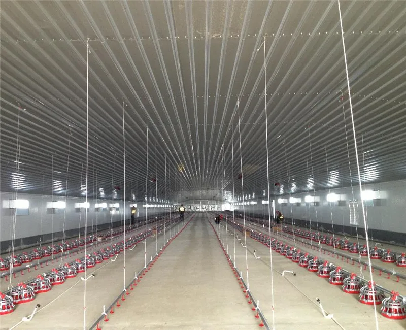 Insulated Steel Modular Buildings Cheap Prefab Chicken Farm Shed Turnkey Poultry Projects